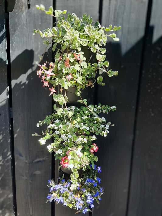 Kleine bakken set (Basismodel) inclusief irrigatiesysteem